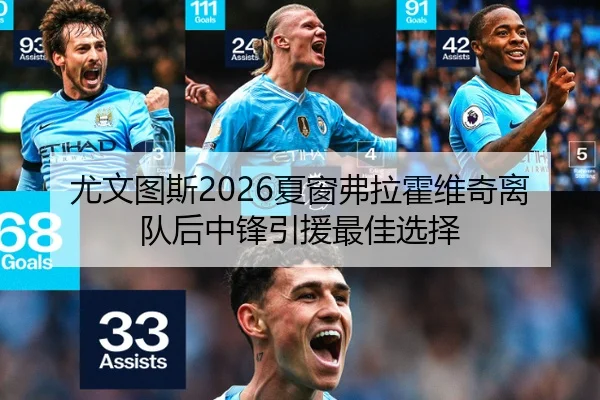 尤文图斯2026夏窗弗拉霍维奇离队后中锋引援最佳选择
